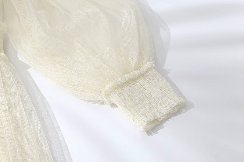 Embroidered Mesh Dress | Ajanka Inc.
