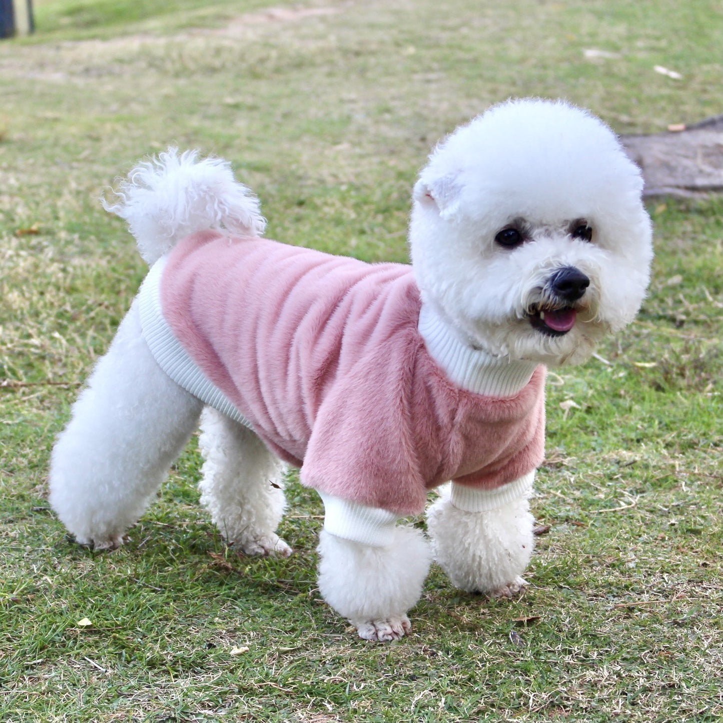 Dog/Cat Mink Coat