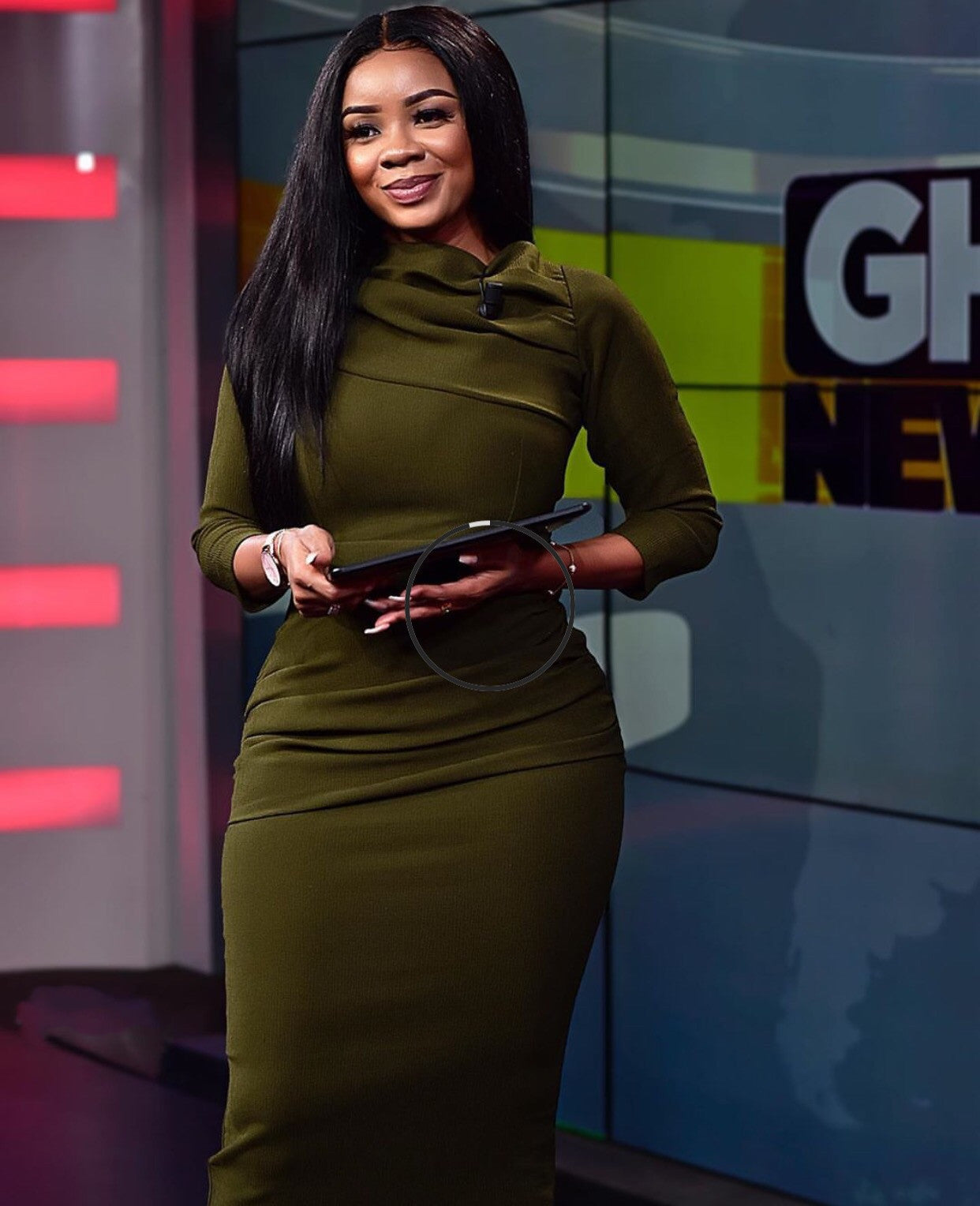 Elegant Pile Collar Dress