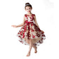 Girls Princess Flower Girl Dress
