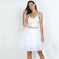 Women's Mesh Tutu Skirt