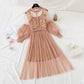 Embroidered Mesh Dress | Ajanka Inc.