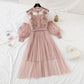 Embroidered Mesh Dress | Ajanka Inc.