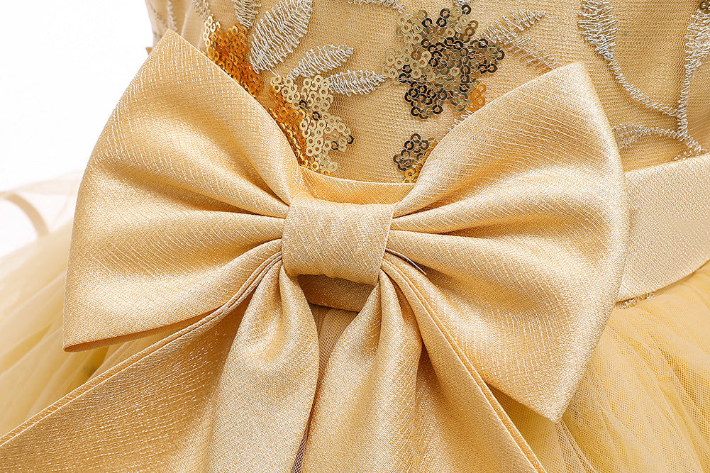 Little Girl's Sequined Dress