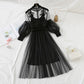Embroidered Mesh Dress | Ajanka Inc.