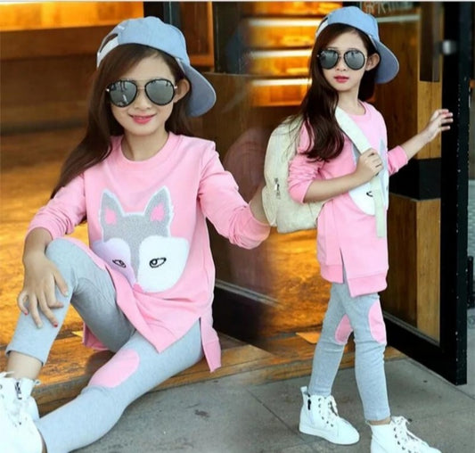 Girls' 2 Piece w/Leggings