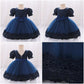 Baby Girl's Embroidered Bow Dress