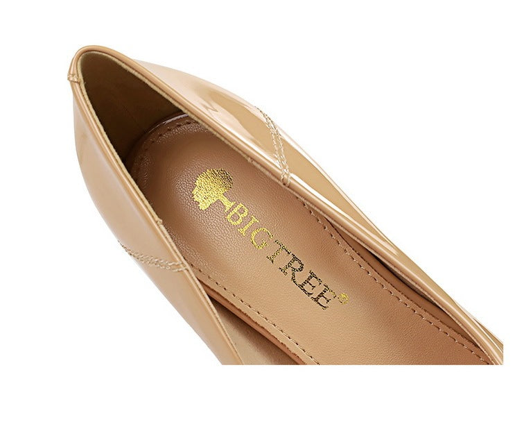 Women's High Heels Pointy Pumps