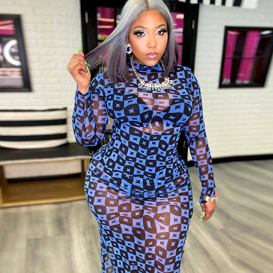 Mesh Printed Stand Collar Transparent Hip Wrap Mid Length Dress