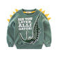 Boys Graphic Sweater