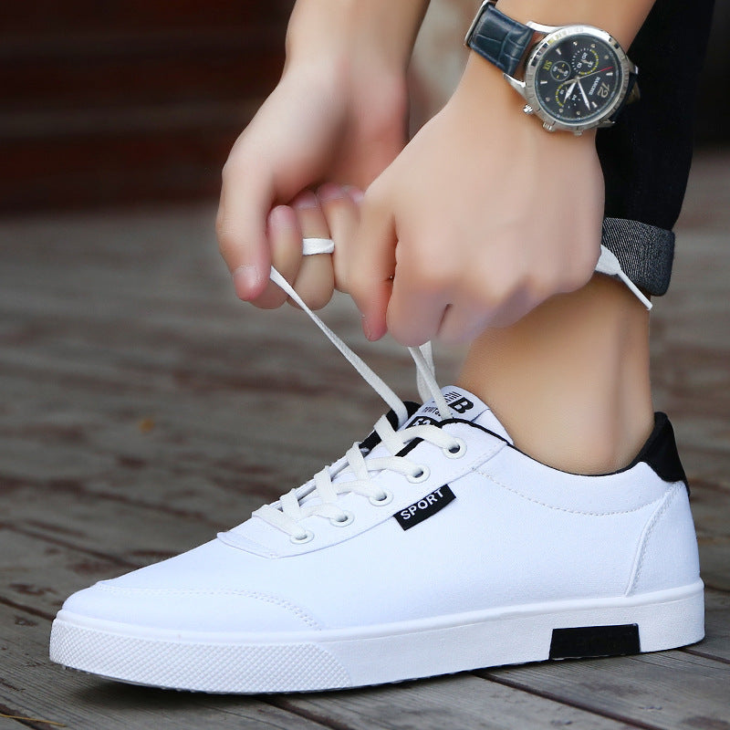 Men's Canvas Shoes