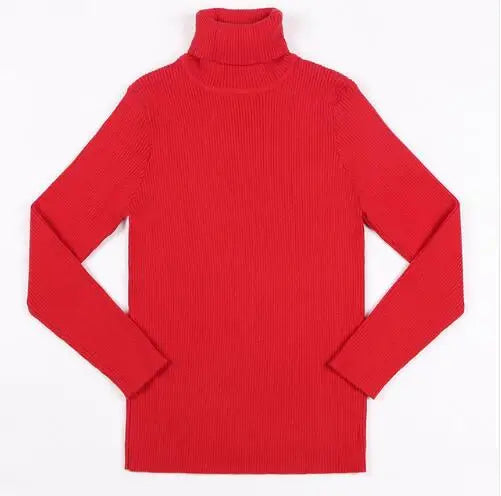 Infant Unisex Turtleneck Sweaters