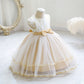 Girl's Princess Mesh Dress
