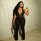 Halter V-neck Lace Jumpsuit