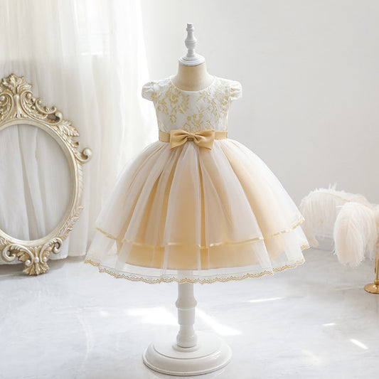 Girl's Princess Mesh Dress