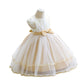 Girl's Princess Mesh Dress