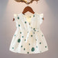 Baby Girl Summer Dresses