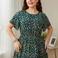 Women's Plus Size Printed Dress
